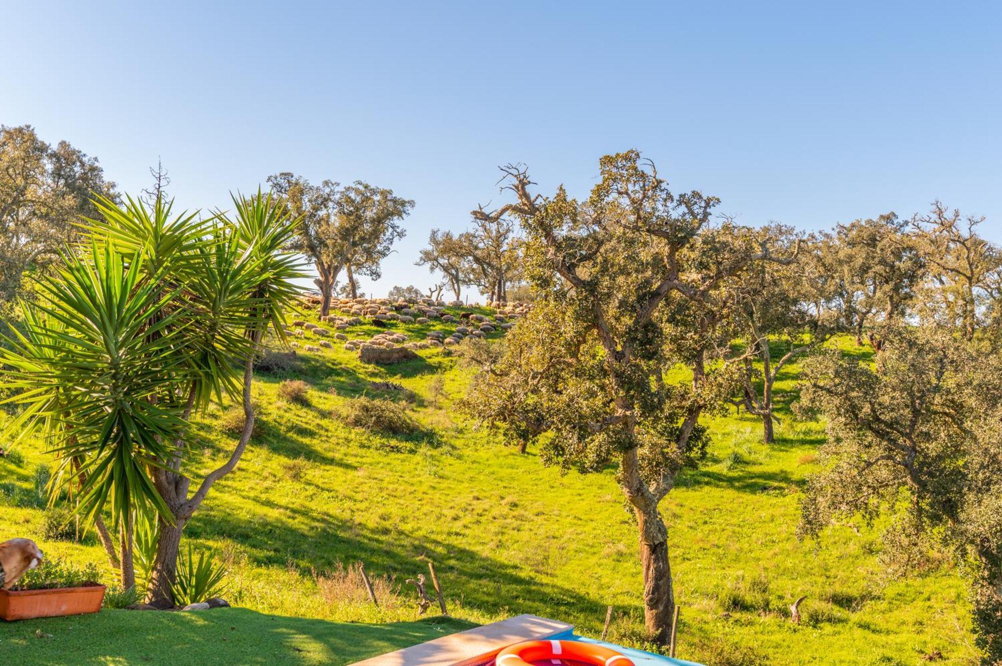 São Francisco da Serra Sierra Melides Villa,Alentejo, Br2 With Private Pool, Br3 With Private Pool - Near Beach חדר תמונה